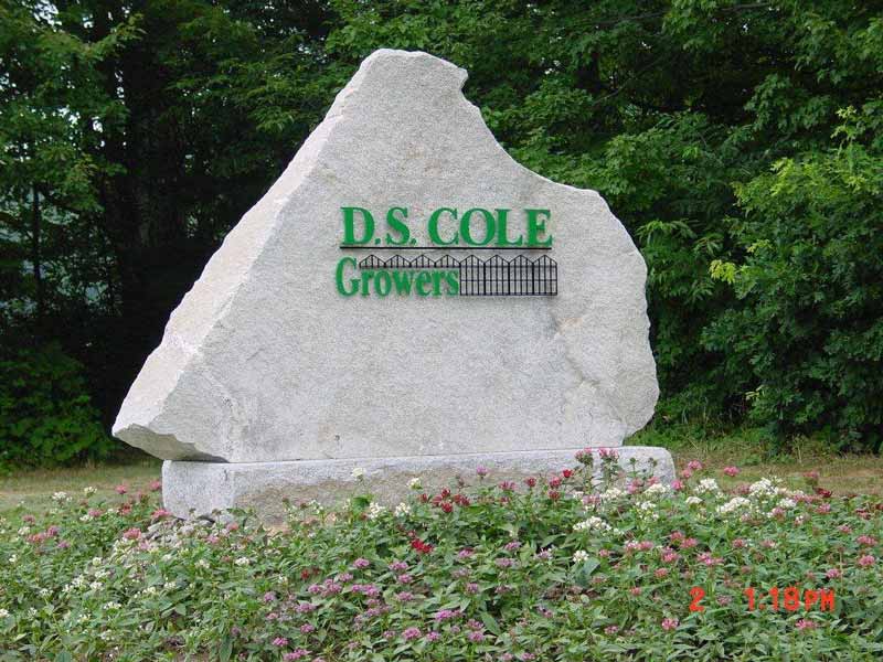 DS Cole Growers